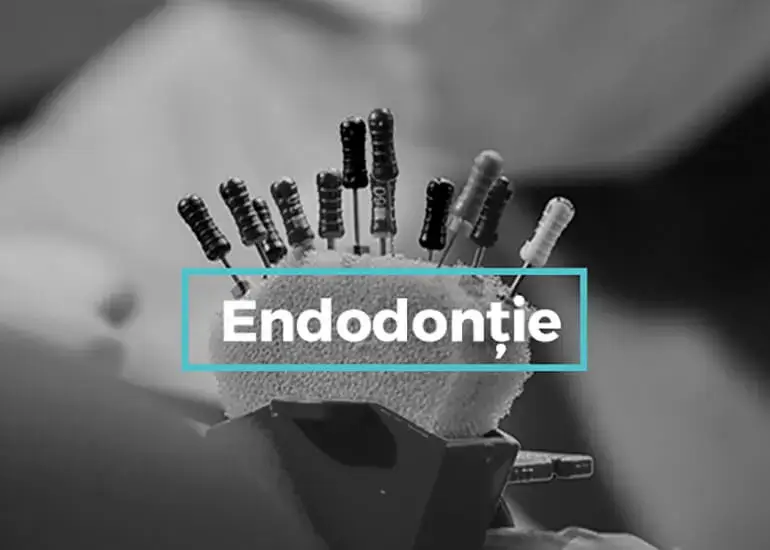 endodontie târgoviște clinica dentara onodent